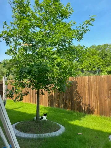 $1,995 | 14110 Luisium View, Unit 72, Pflugerville, TX 78660