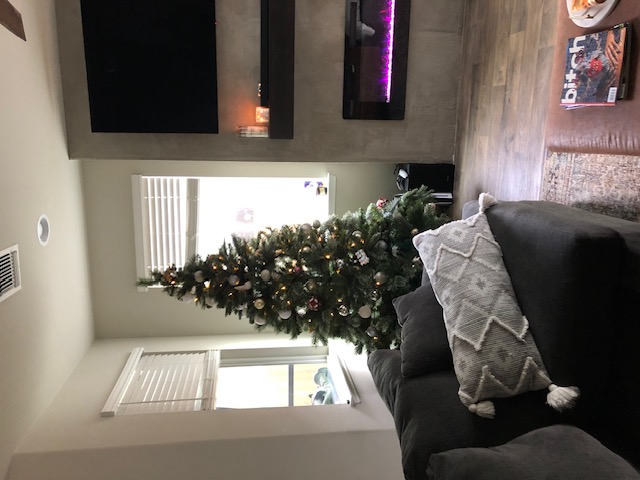 14110 Luisium View, Unit 72 Pflugerville, TX 78660 - Photo 4 of 21 a living room with furniture and a flat screen tv