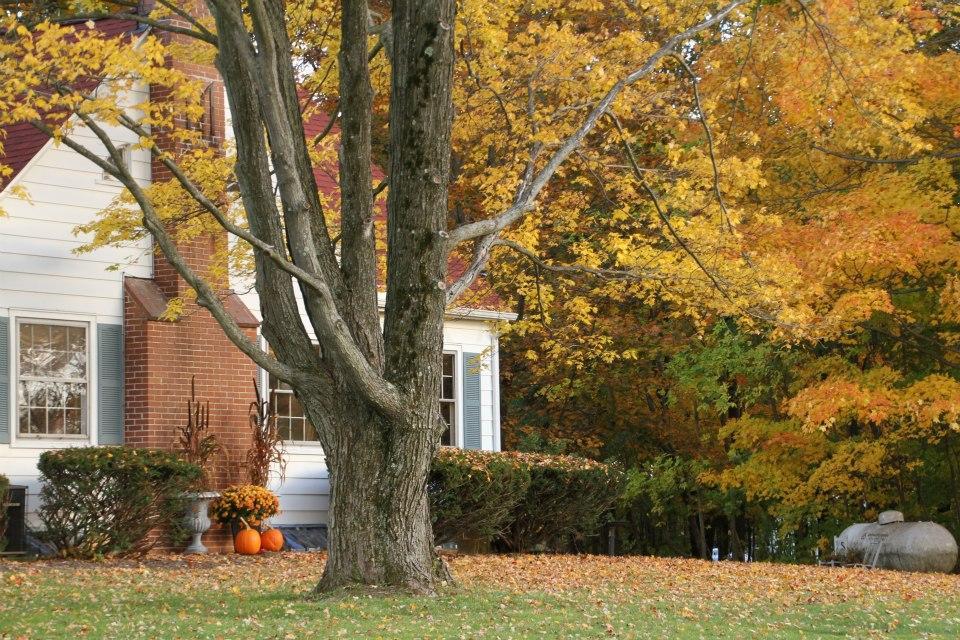 7672 New Albany-Condit Road New Albany, OH 43054 - Photo 28 of 40