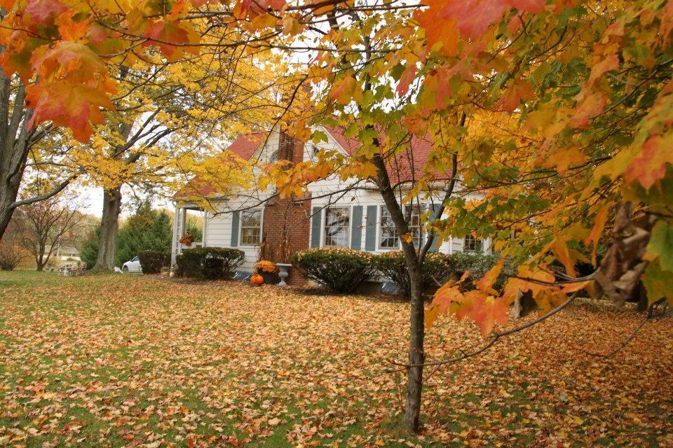 7672 New Albany-Condit Road New Albany, OH 43054 - Photo 29 of 40