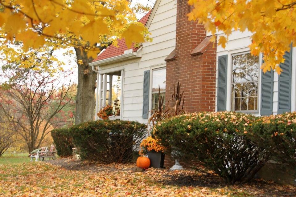 7672 New Albany-Condit Road New Albany, OH 43054 - Photo 30 of 40