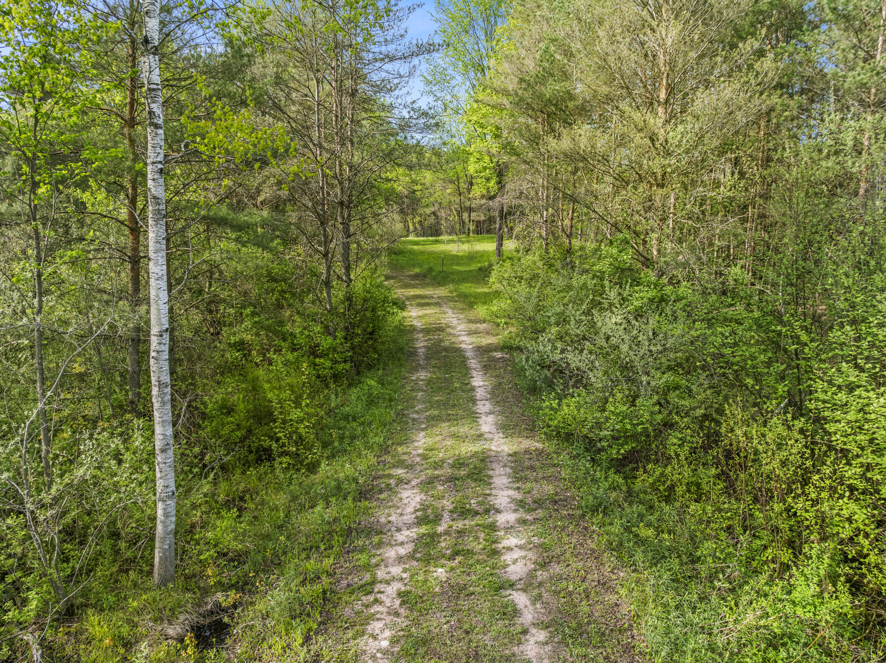 0 Dzuibanek Road Thompsonville, MI 49683 - Photo 7 of 21 DJI_20260522174900_0105_D