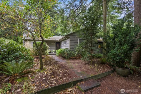 a big yard with lots of green space and deers