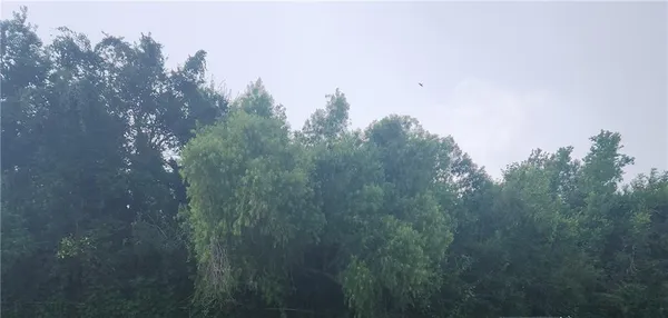 $45,000 | Undisclosed Address, Vacherie, LA 70090