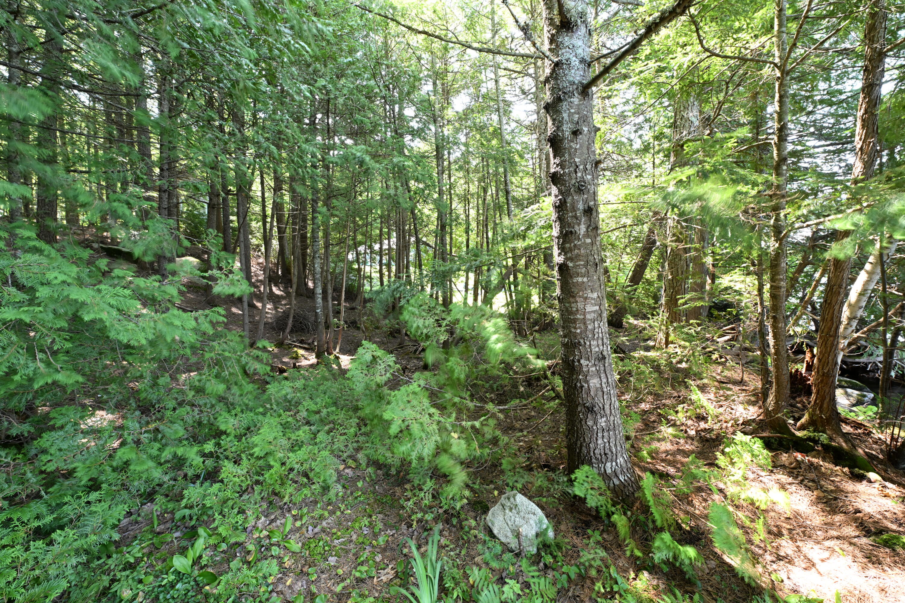 214 McGregor Road Lincoln, ME 04457 - Photo 20 of 20 DSC_4680