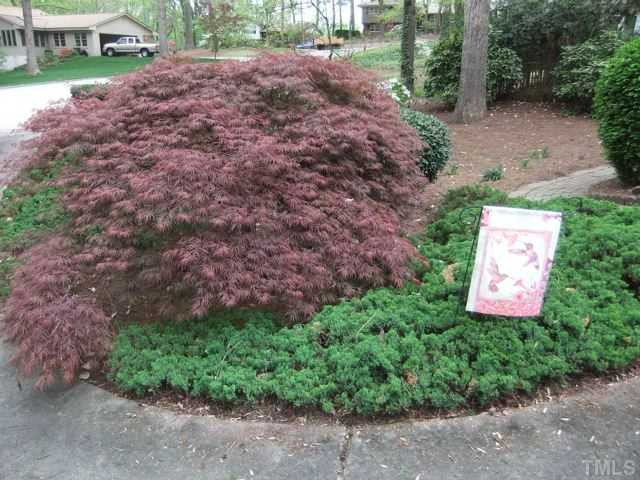 2005 Beecham Circle Raleigh, NC 27607 - Photo 9 of 9 Photo 9