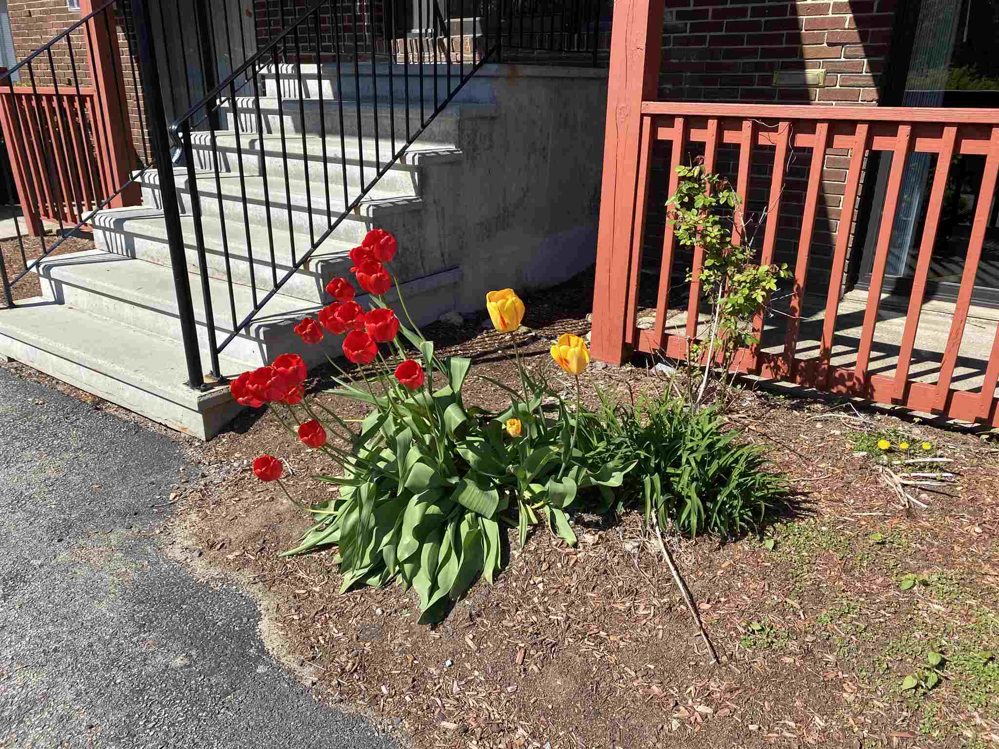 29 Capron Road, Unit 57 Milford, NH 03055 - Photo 28 of 40