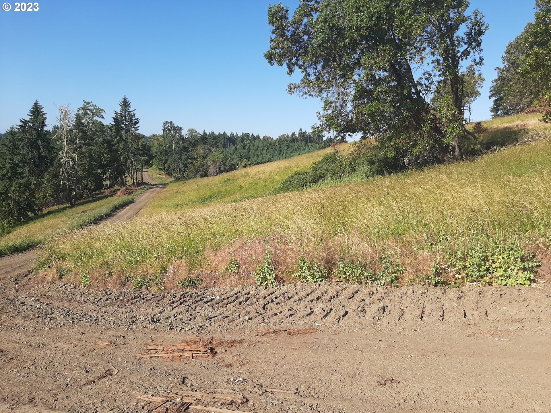 Undisclosed Address Winston, OR 97496 - Photo 6 of 20