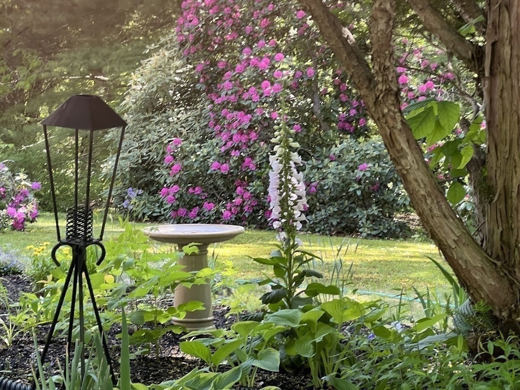 300 West Main Street Hopkinton, MA 01748 - Photo 23 of 26 a view of a flower in a garden