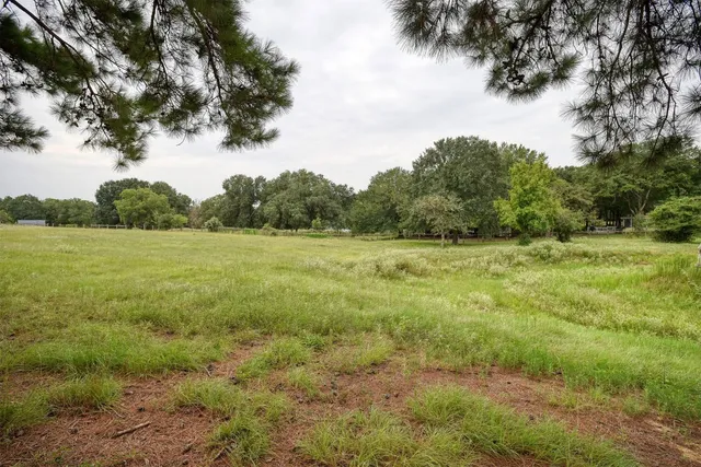 a view of a field with trees in the background