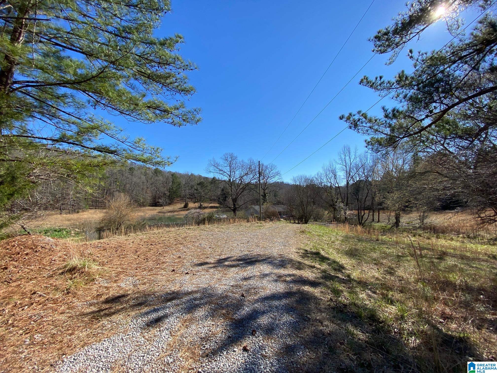 195 Wyatt Lake Road Odenville, AL 35120 - Photo 2 of 16
