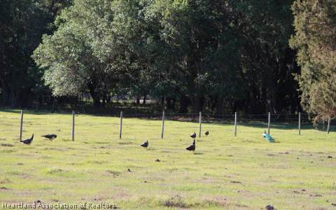 120 Old State Rte 8 Venus, FL 33960 - Photo 21 of 21 Gallery Image 21