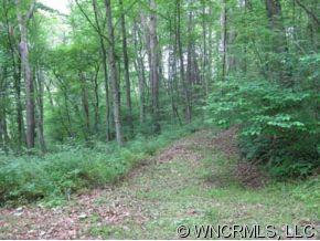 9 James, Unit 9 Clyde, NC 28721 - Photo 3 of 10 Gallery Image 3