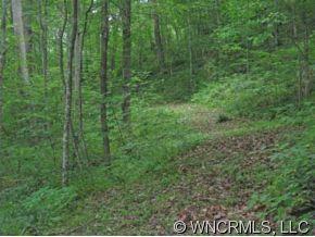 9 James, Unit 9 Clyde, NC 28721 - Photo 6 of 10 Gallery Image 6