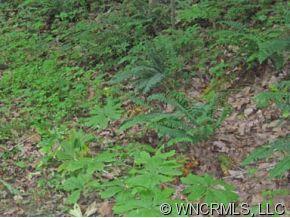 9 James, Unit 9 Clyde, NC 28721 - Photo 7 of 10 Gallery Image 7