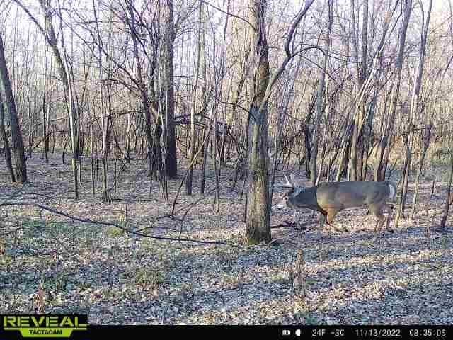 22-nd 22-nd Avenue Road Vinton, IA 52349 - Photo 5 of 15 Gallery Image 5