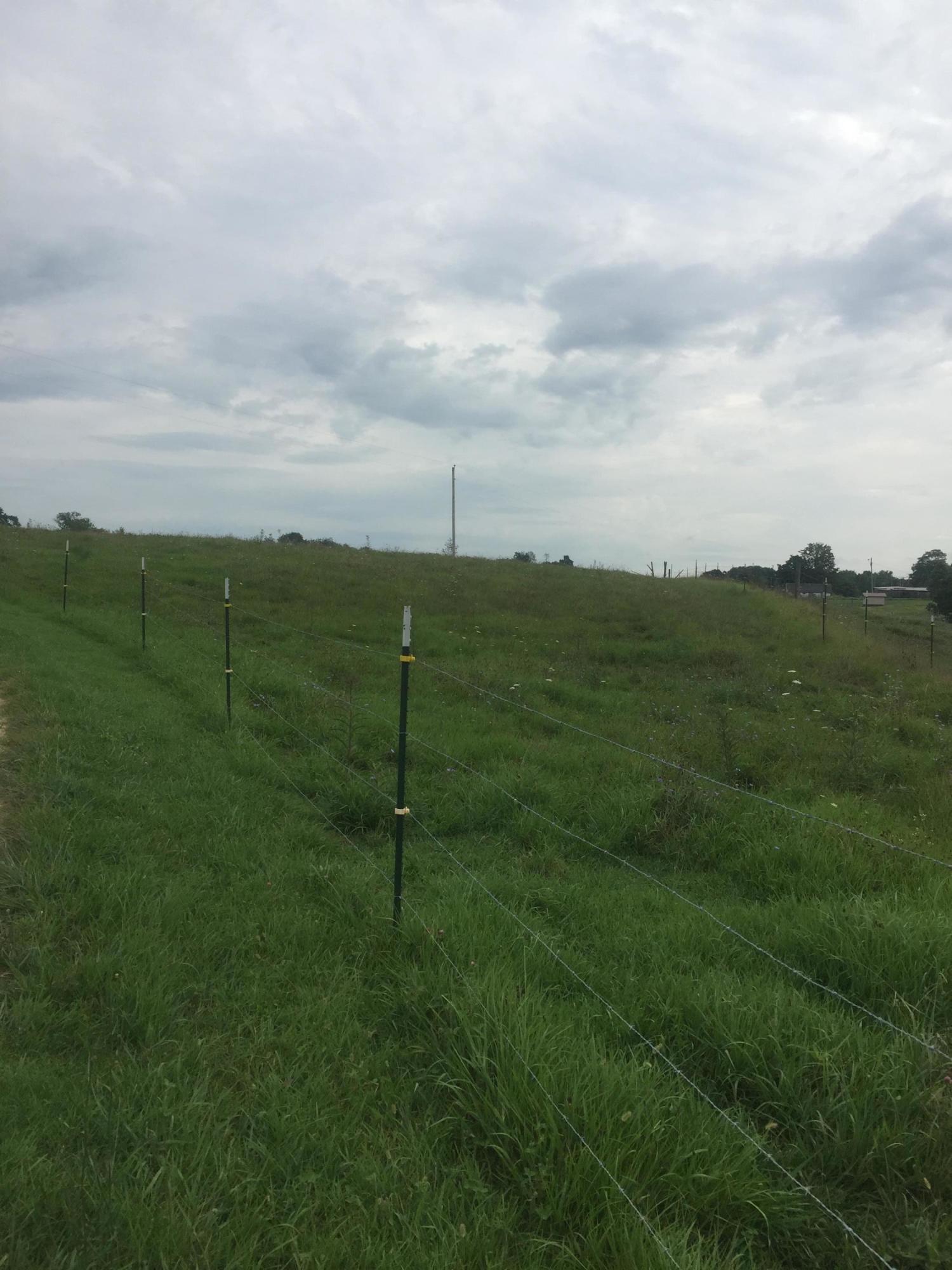 622 Floyd Switch Road Eubank, KY 42567 - Photo 16 of 16 IMG_2192