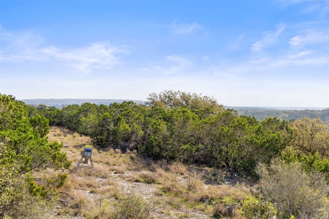 Tbd Bluff End Road New Braunfels, TX 78132 - Photo 13 of 18 View of landscape with a wooded view