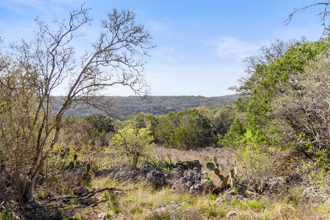 Tbd Bluff End Road New Braunfels, TX 78132 - Photo 15 of 18 View of mountain feature featuring a wooded view
