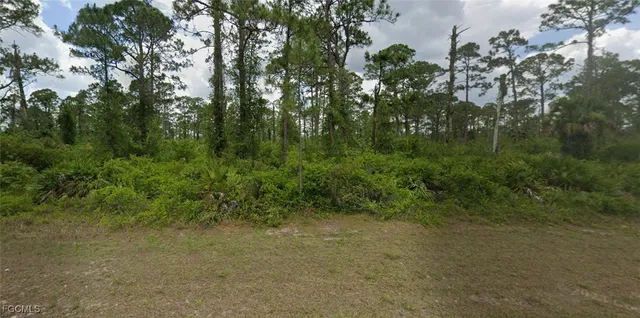 $39,900 | 2017 Columbus Avenue, Alva, FL 33920