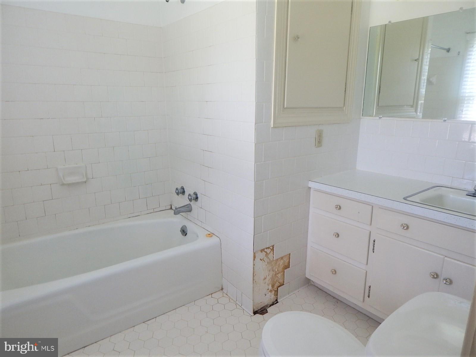 11036 Mountain Run Lake Road Culpeper, VA 22701 - Photo 17 of 30 Bath (Master)