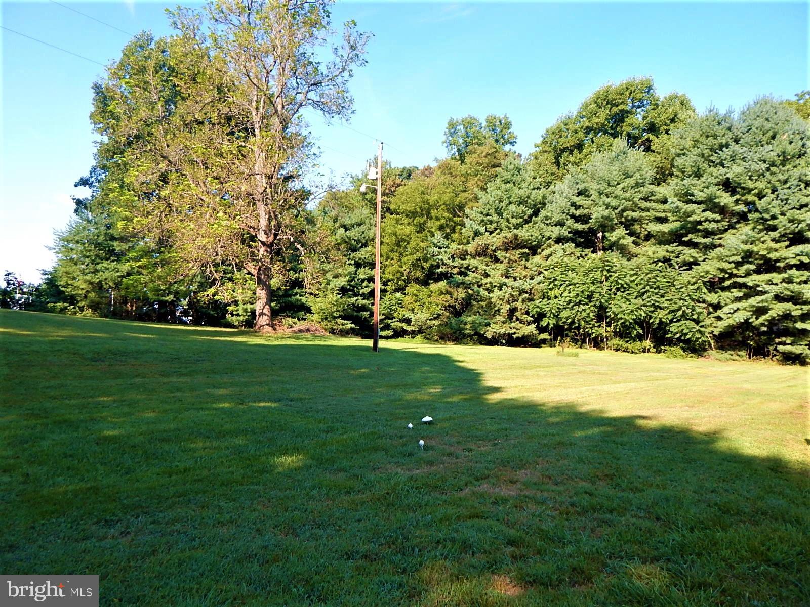 11036 Mountain Run Lake Road Culpeper, VA 22701 - Photo 28 of 30 View
