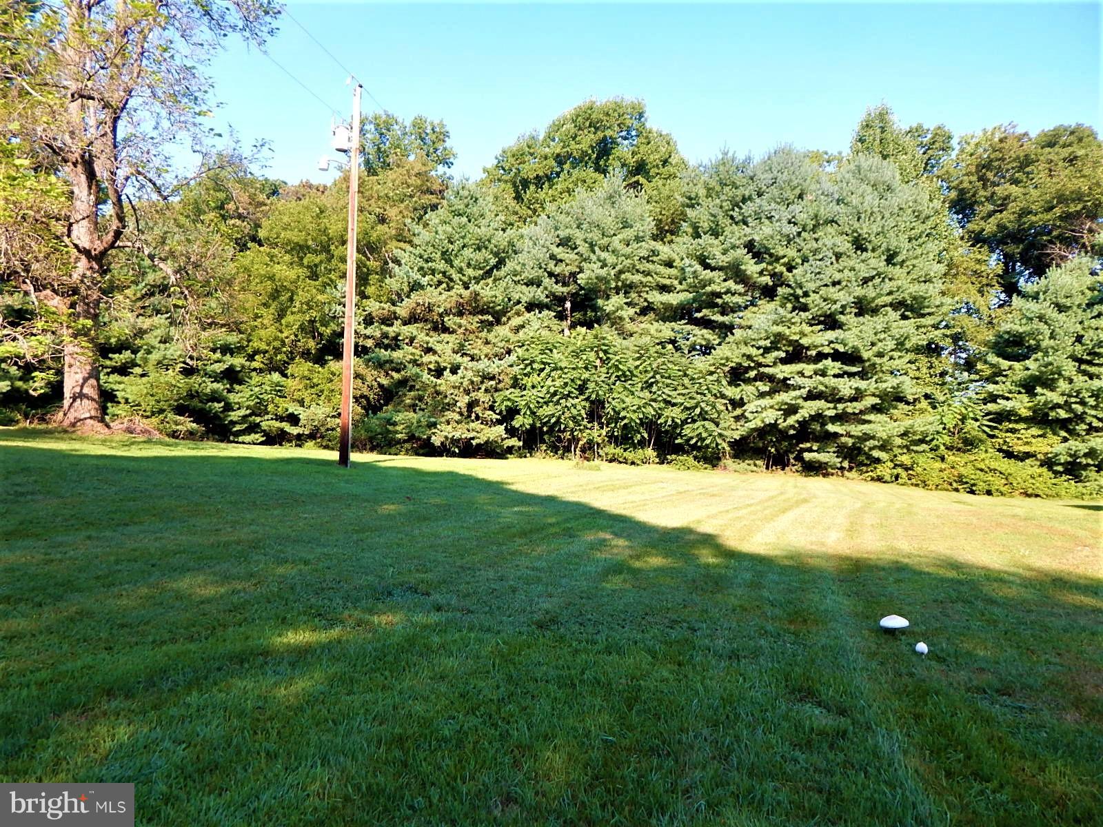 11036 Mountain Run Lake Road Culpeper, VA 22701 - Photo 29 of 30 View