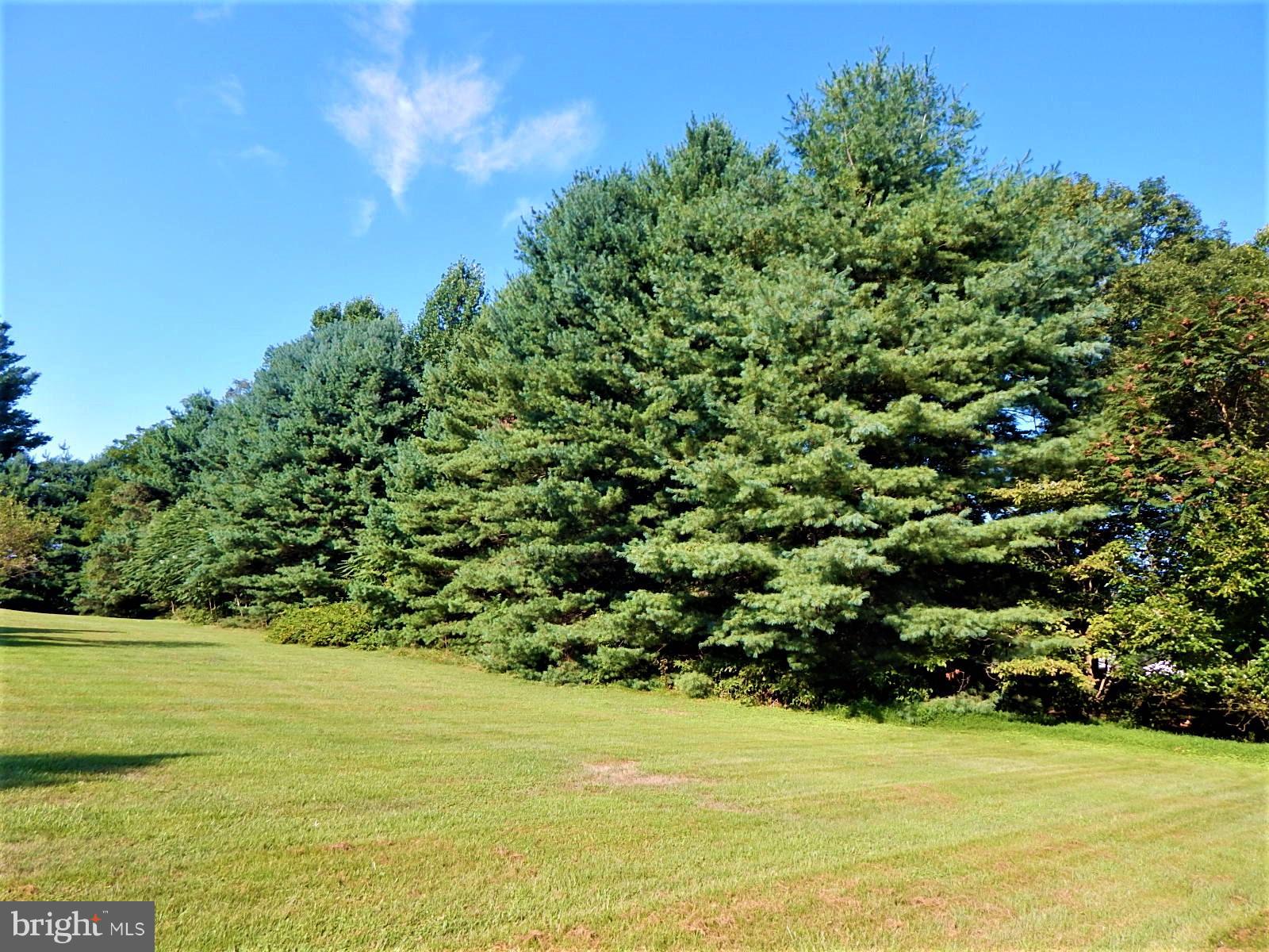 11036 Mountain Run Lake Road Culpeper, VA 22701 - Photo 30 of 30 View
