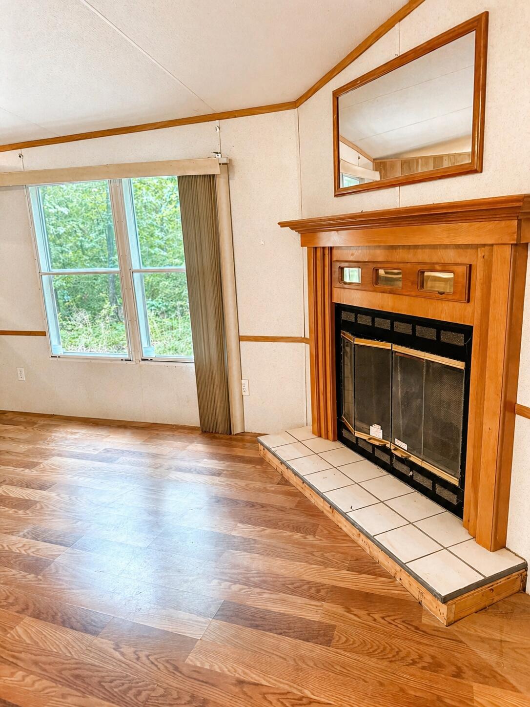3641 Hillman Gay Road Dearing, GA 30808 - Photo 6 of 14 Fireplace