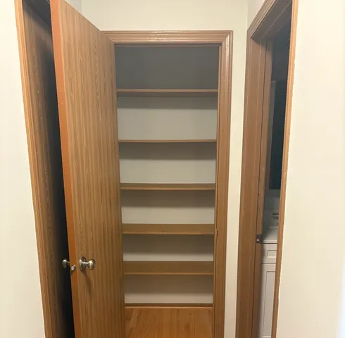 a view of walk in closet with empty racks