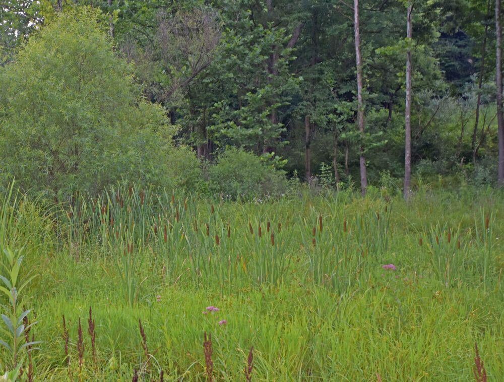 12 Rt Talcott, WV 24981 - Photo 29 of 54 Gallery Image 29