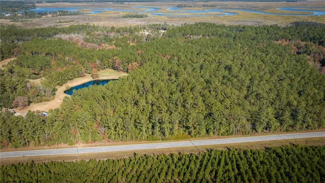 $175,000 | 7.24-acres Harris Neck Road Northeast, Townsend, GA 31331