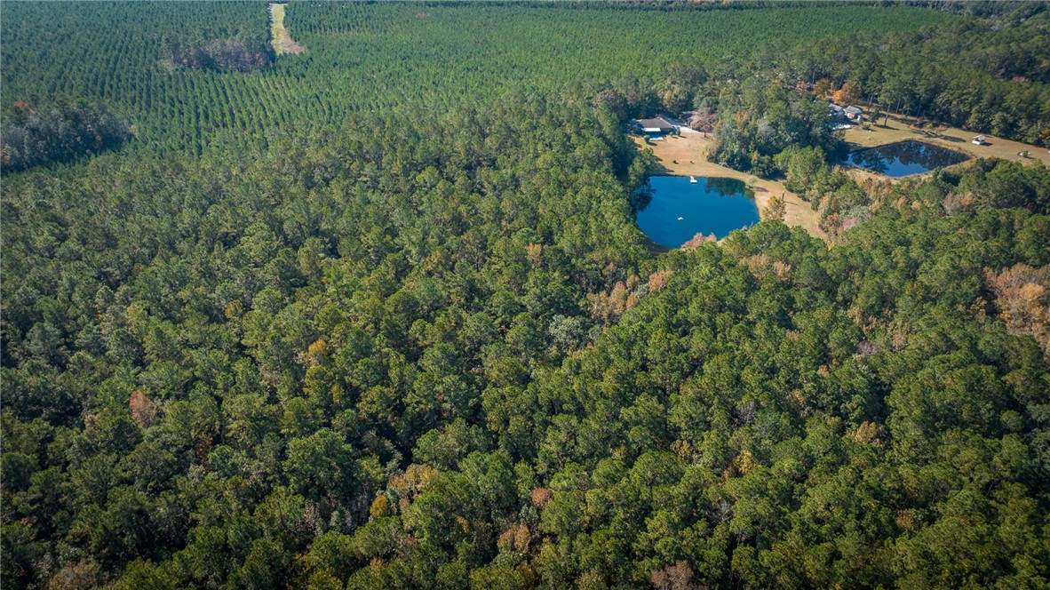 7.24-acres Harris Neck Road Northeast Townsend, GA 31331 - Photo 6 of 9