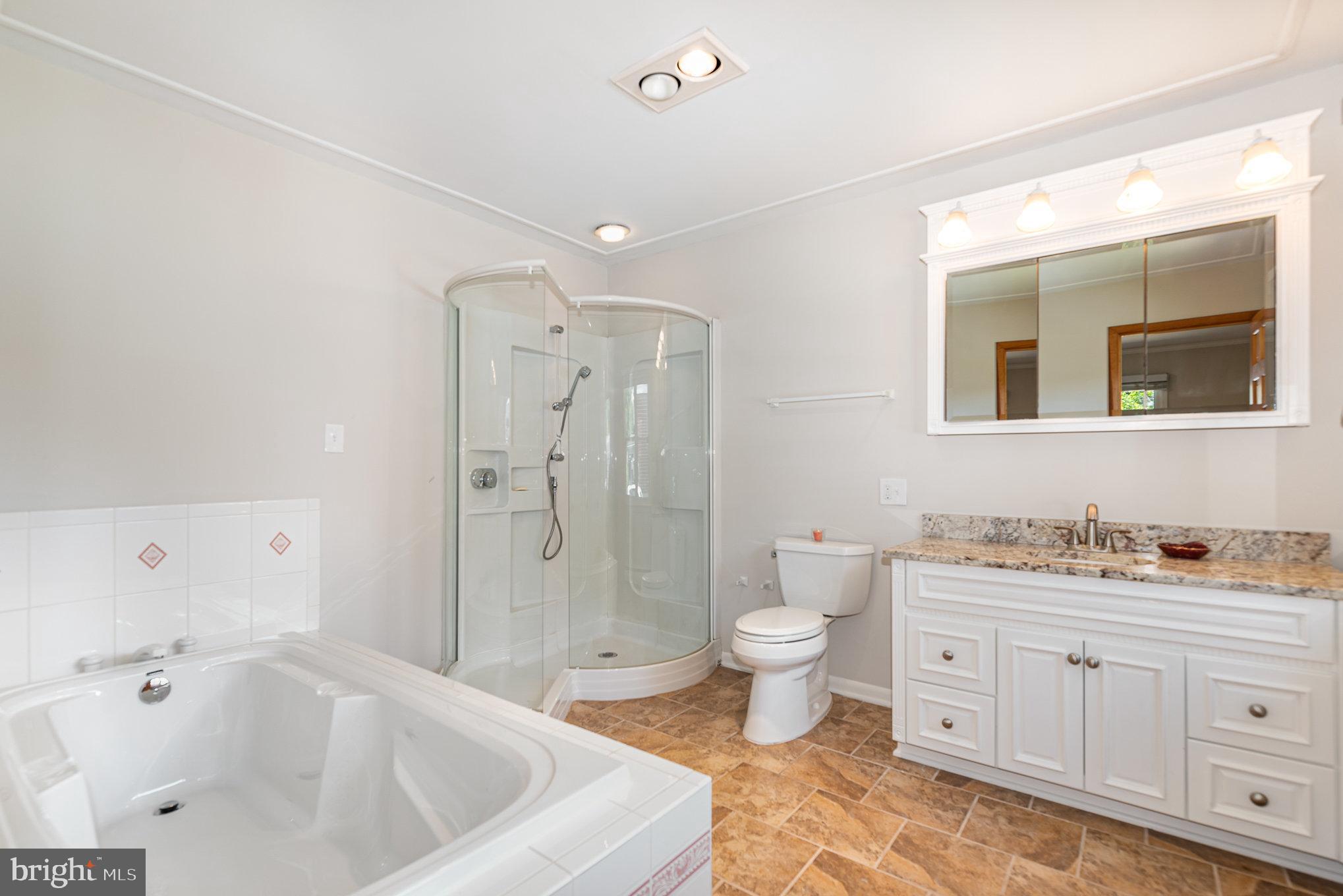 939 Starbit Road Towson, MD 21286 - Photo 14 of 52 a bathroom with a bathtub shower sink mirror vanity and toilet