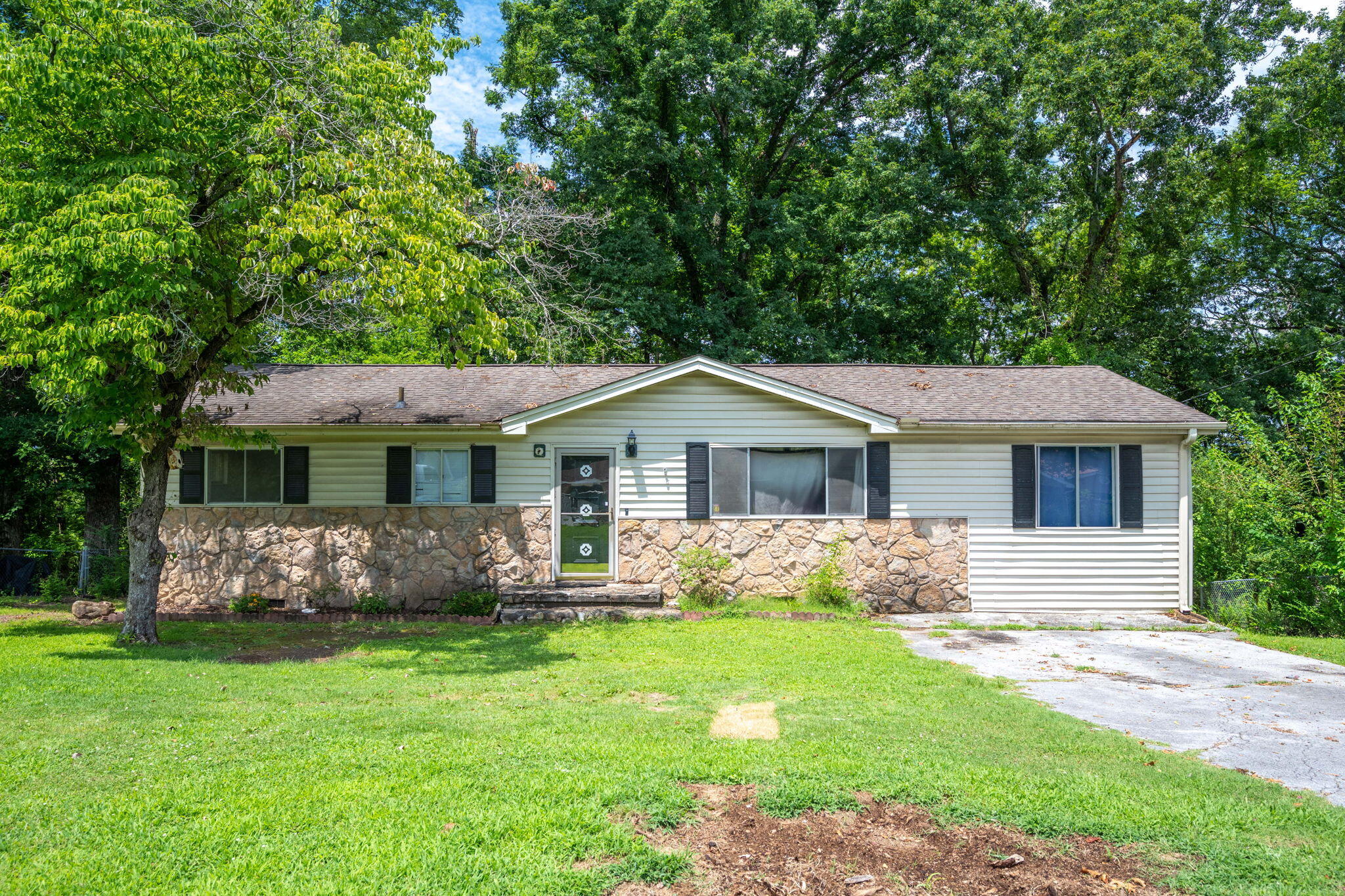 1-web-or-mls-DSC_7553