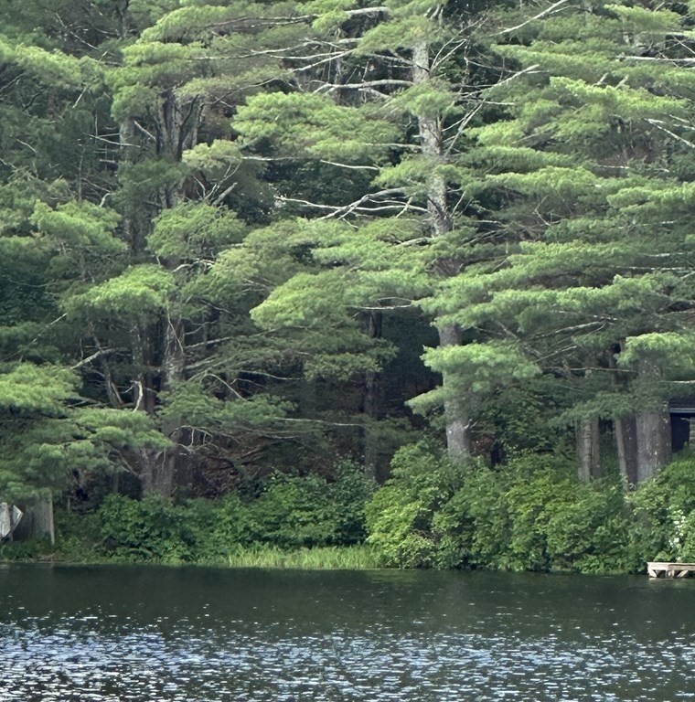 9 Washburn Terrace Spencer, MA 01562 - Photo 10 of 11 a aerial view of a house with a yard