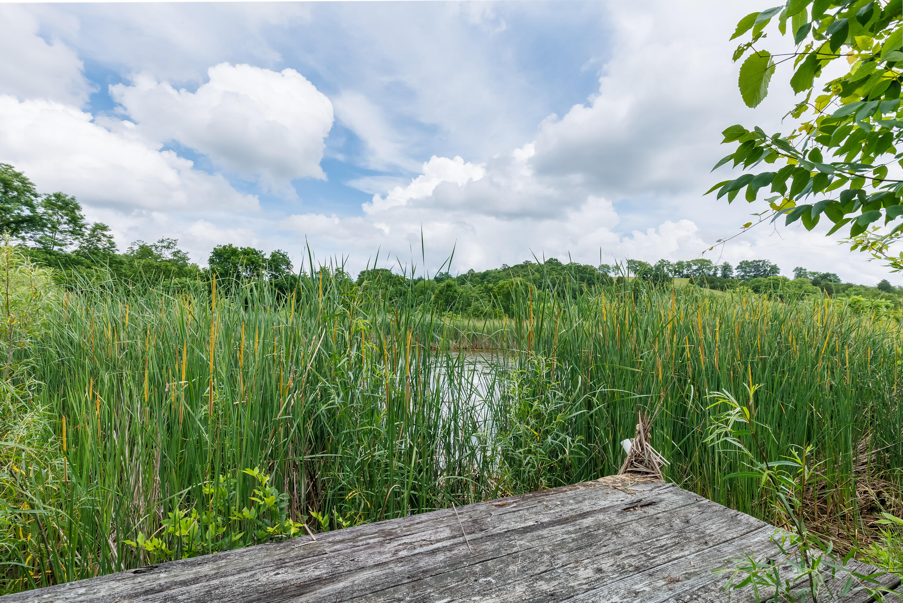 1041 Kidwell Road Butler, KY 41006 - Photo 47 of 50 Gallery Image 47