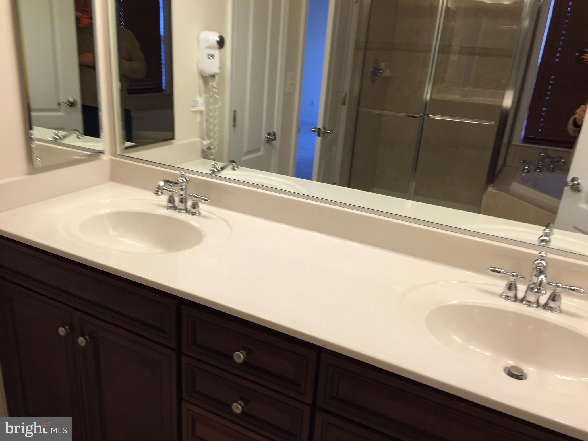 25153 Cutgrass Terrace Stone Ridge, VA 20105 - Photo 14 of 24 Bath (Master)