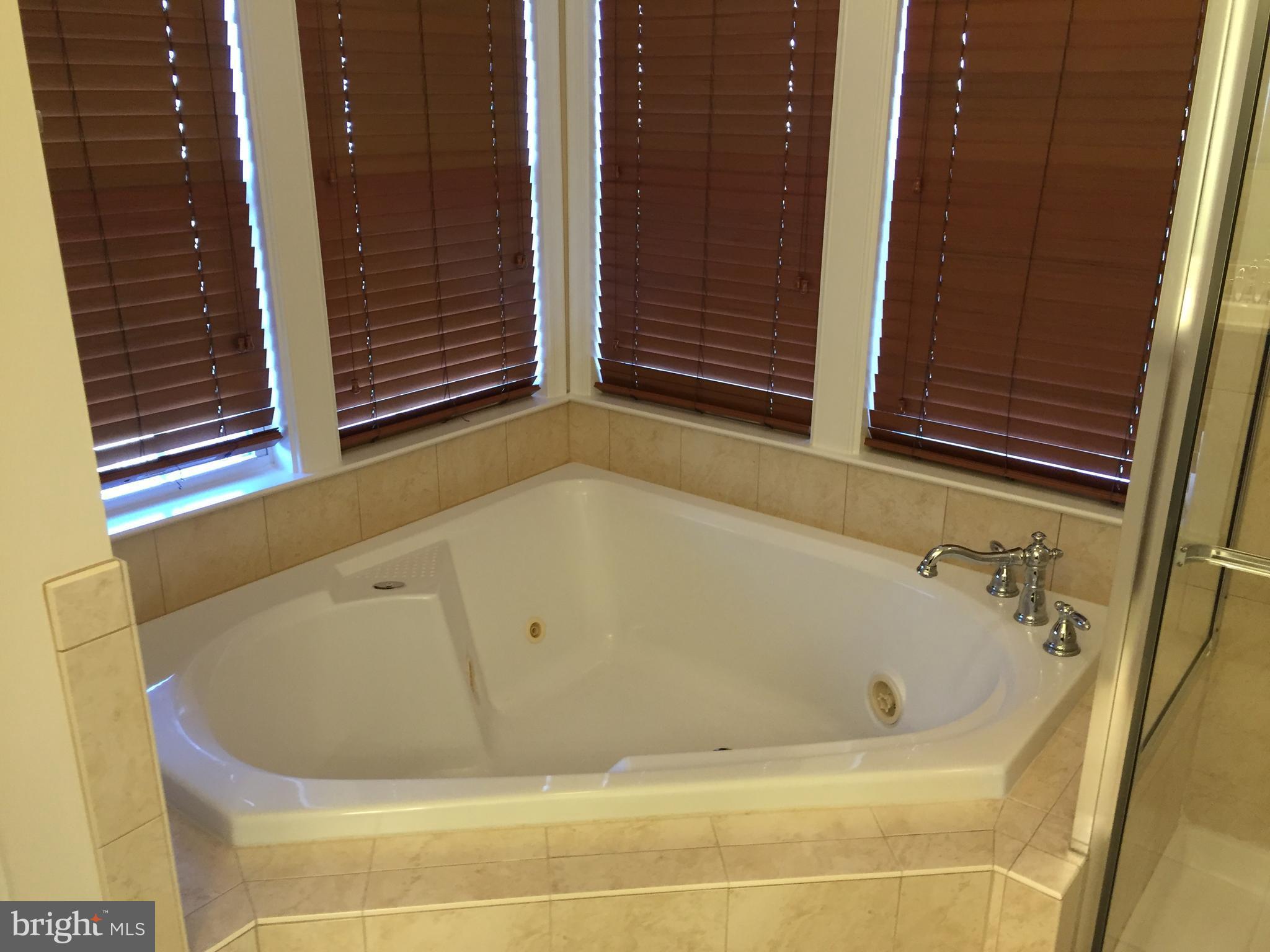 25153 Cutgrass Terrace Stone Ridge, VA 20105 - Photo 15 of 24 Bath (Master)