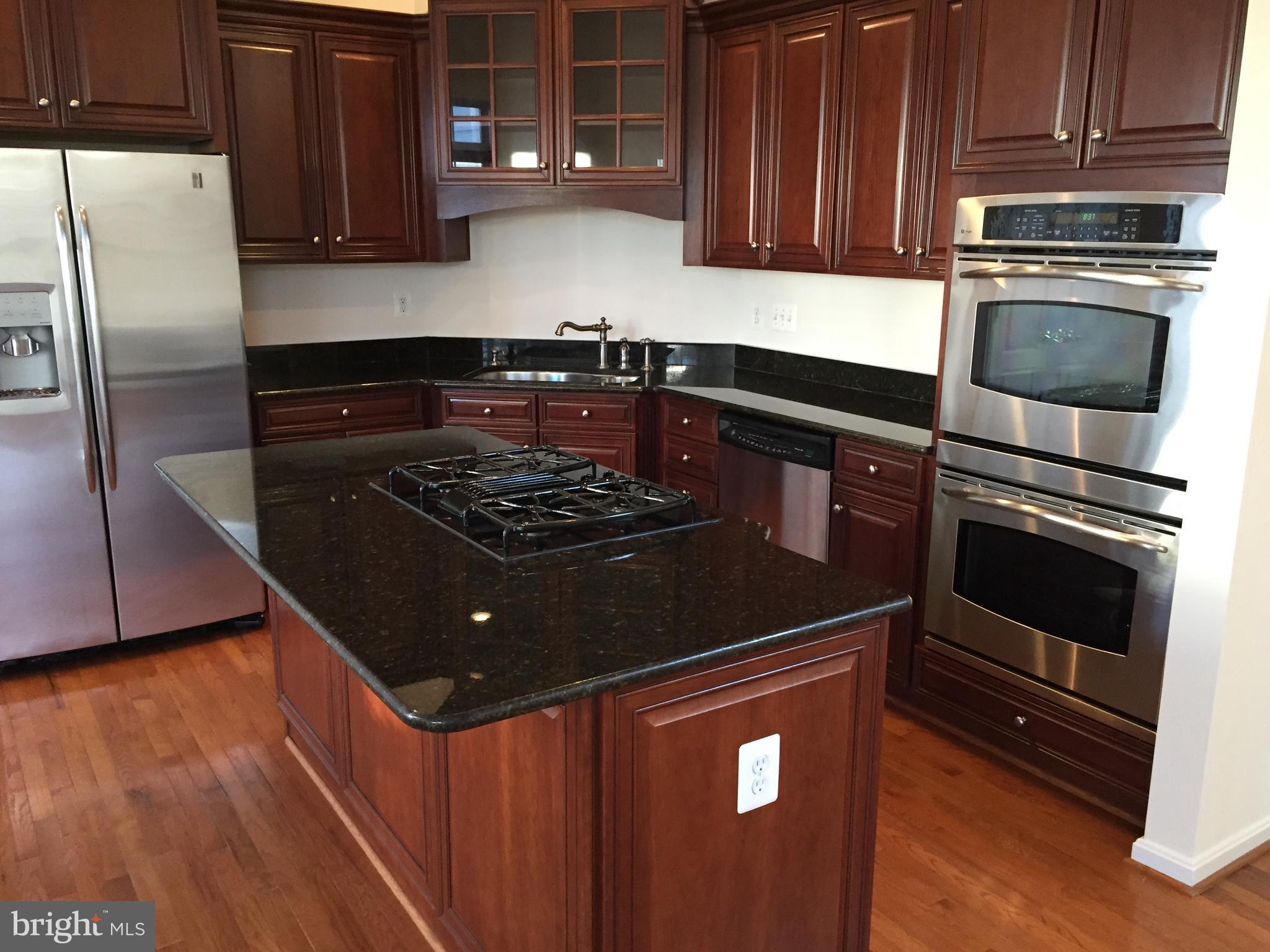 25153 Cutgrass Terrace Stone Ridge, VA 20105 - Photo 3 of 24 Kitchen