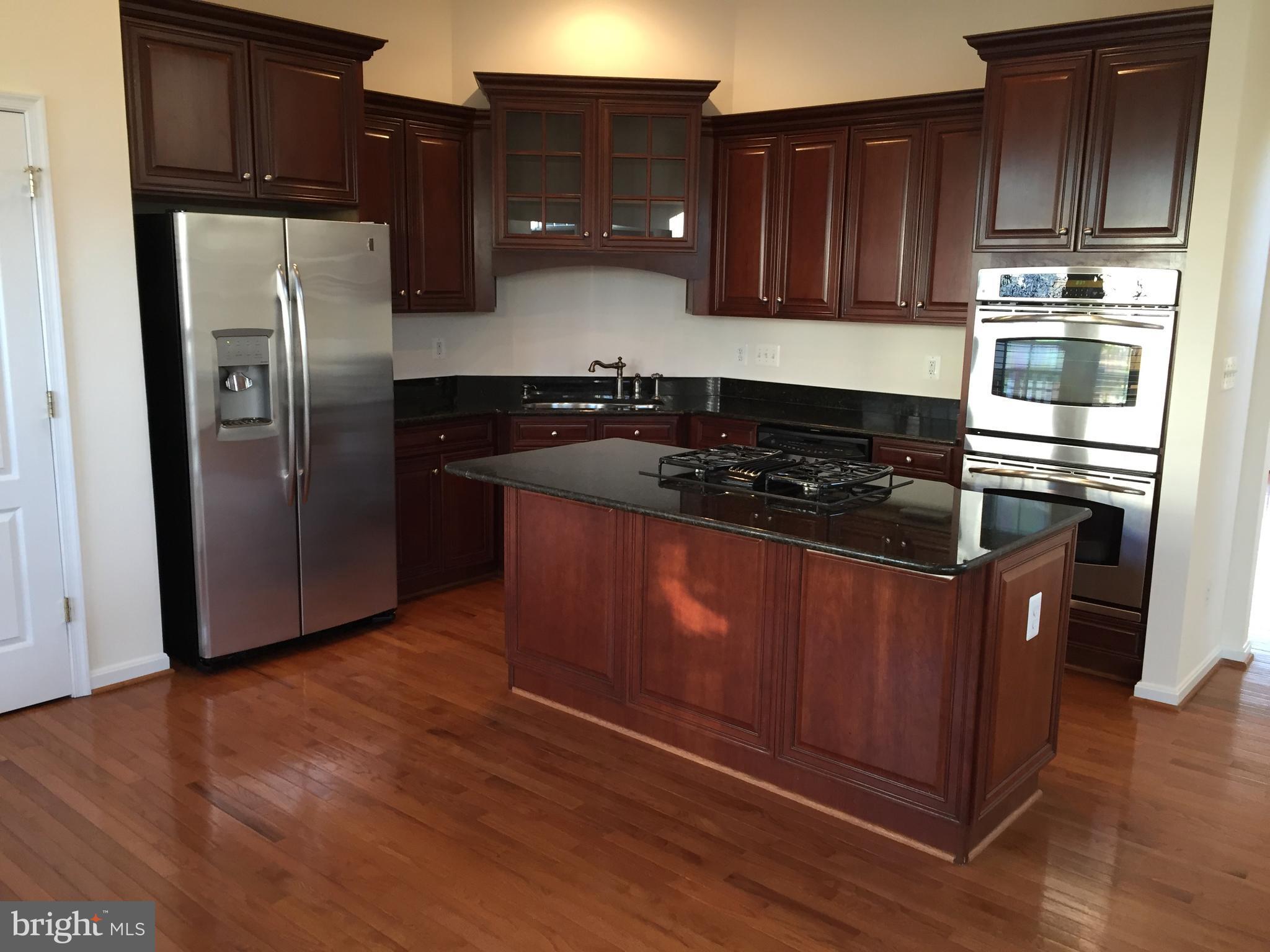 25153 Cutgrass Terrace Stone Ridge, VA 20105 - Photo 4 of 24 Kitchen