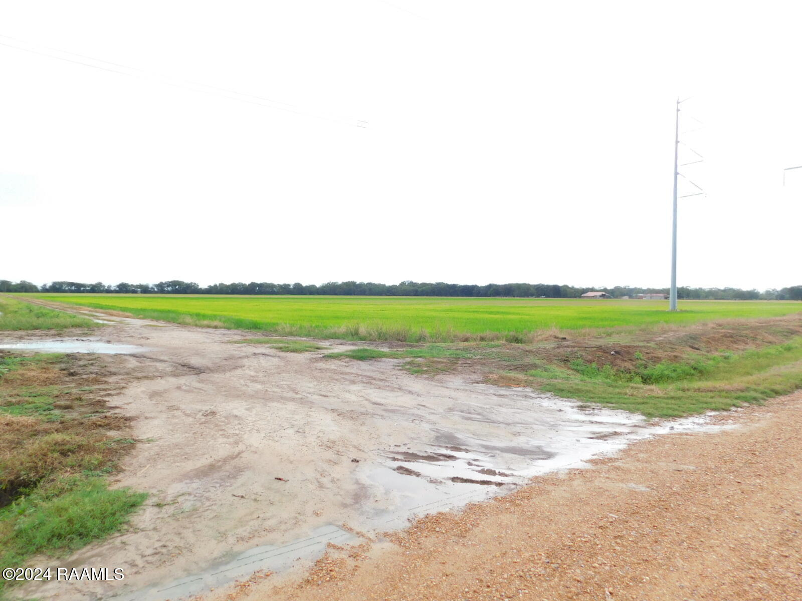 0 Gumpoint Road, Unit LOT 4A Branch, LA 70516 - Photo 2 of 4