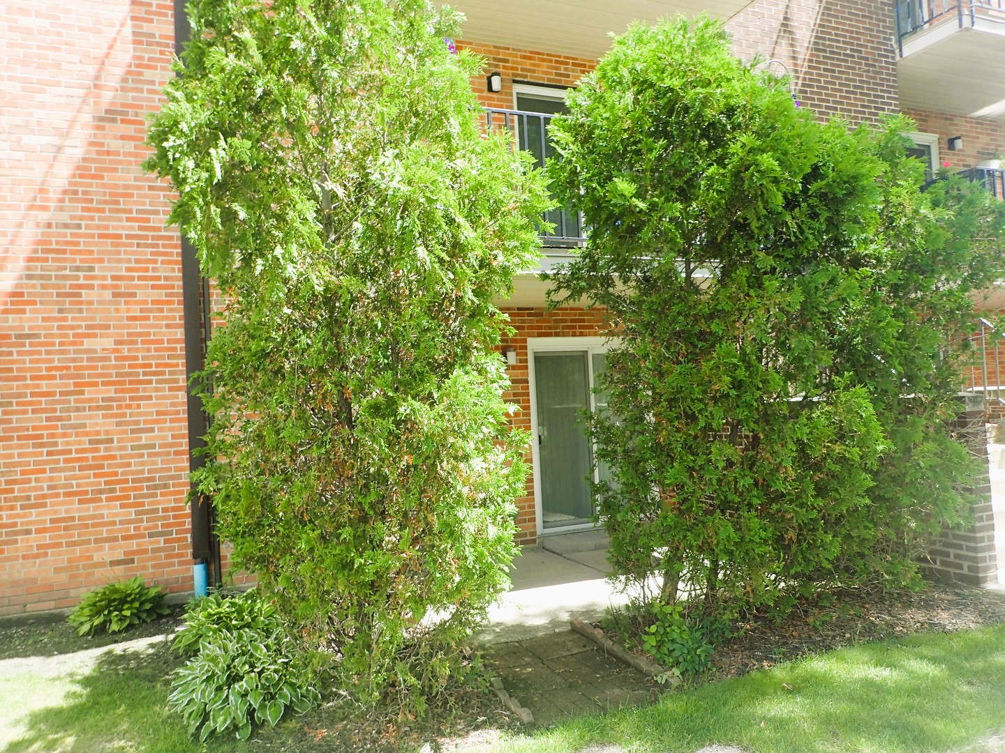 1127 South Old Wilke Road, Unit 101 Rolling Meadows, IL 60005 - Photo 6 of 32