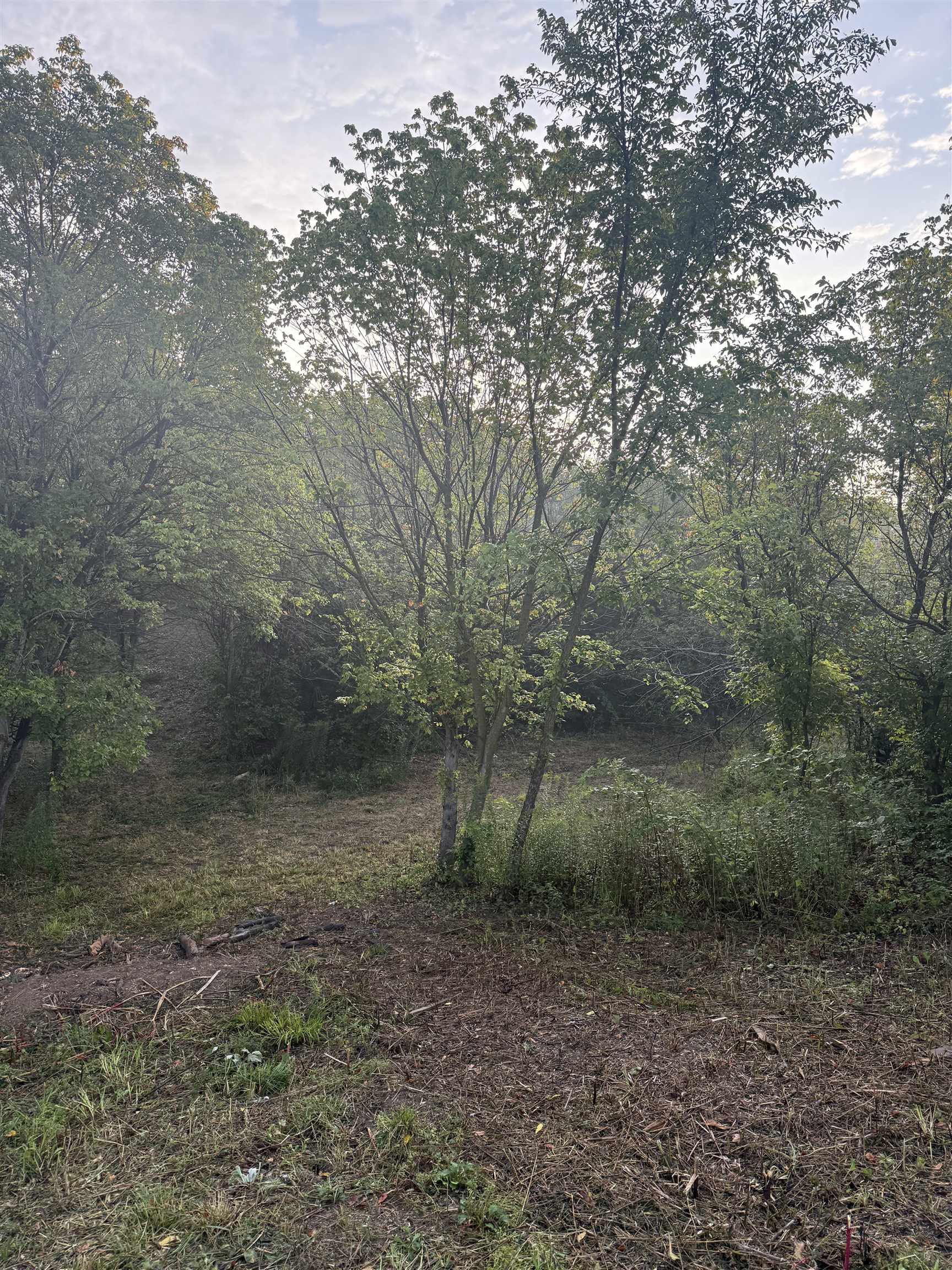 Tbd Knightly Mill Road Mount Sidney, VA 24467 - Photo 2 of 3 Gallery Image 2