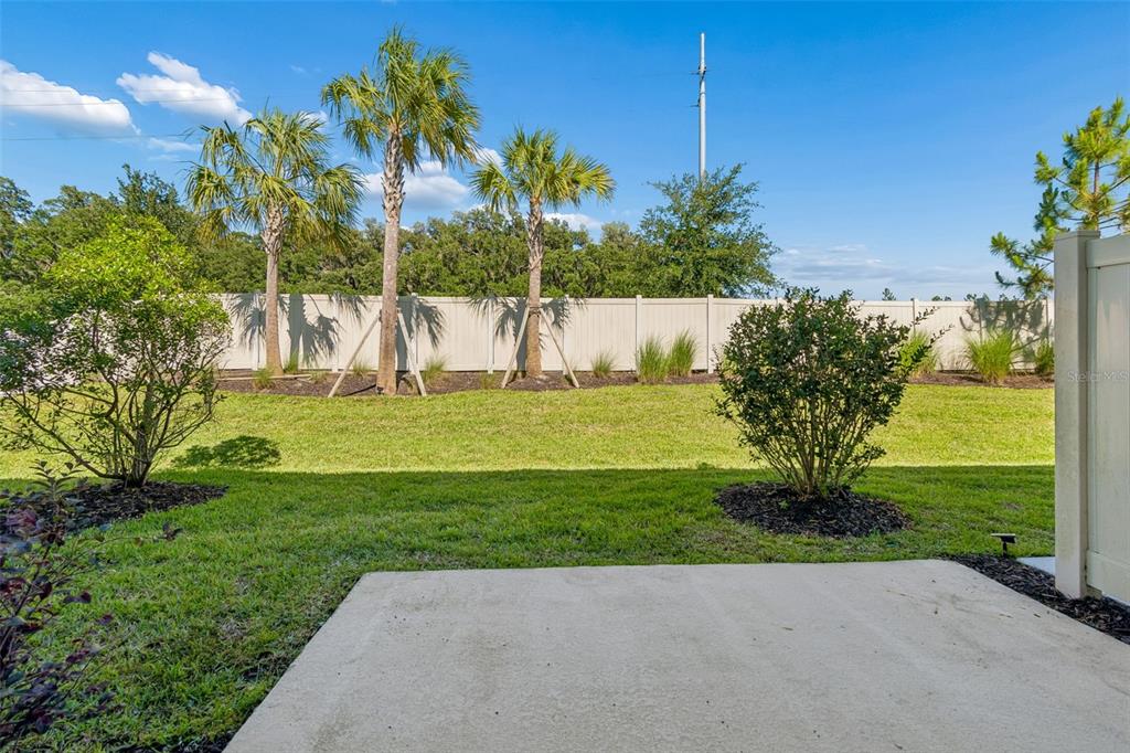 2470 Paravane Way Wesley Chapel, FL 33543 - Photo 35 of 47