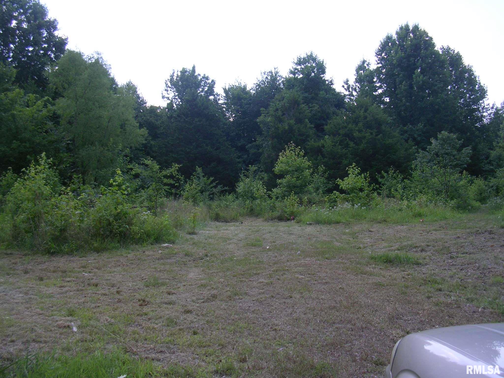 3440 Oak Grove Road Vienna, IL 62995 - Photo 1 of 7