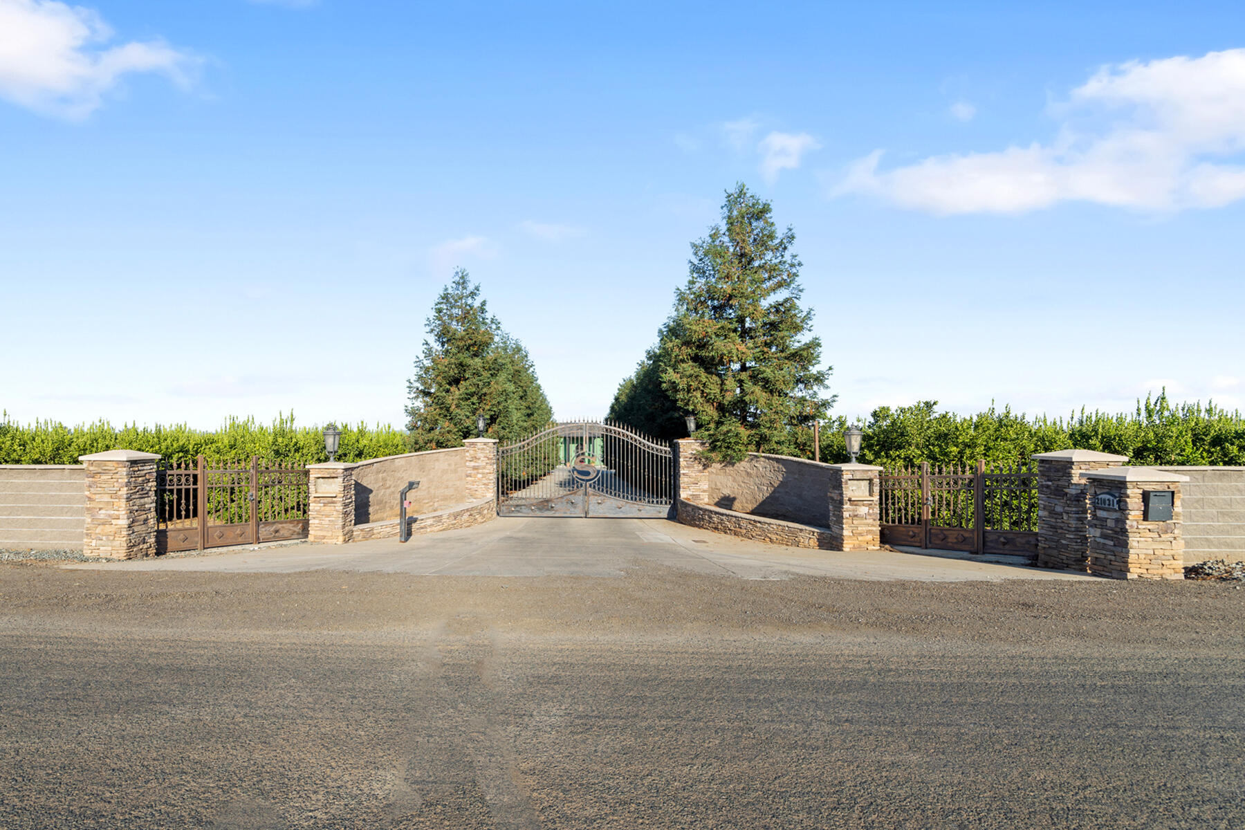 21031 Road 256 Strathmore, CA 93267 - Photo 3 of 55 04 - Front Entrance (driveway) into the
