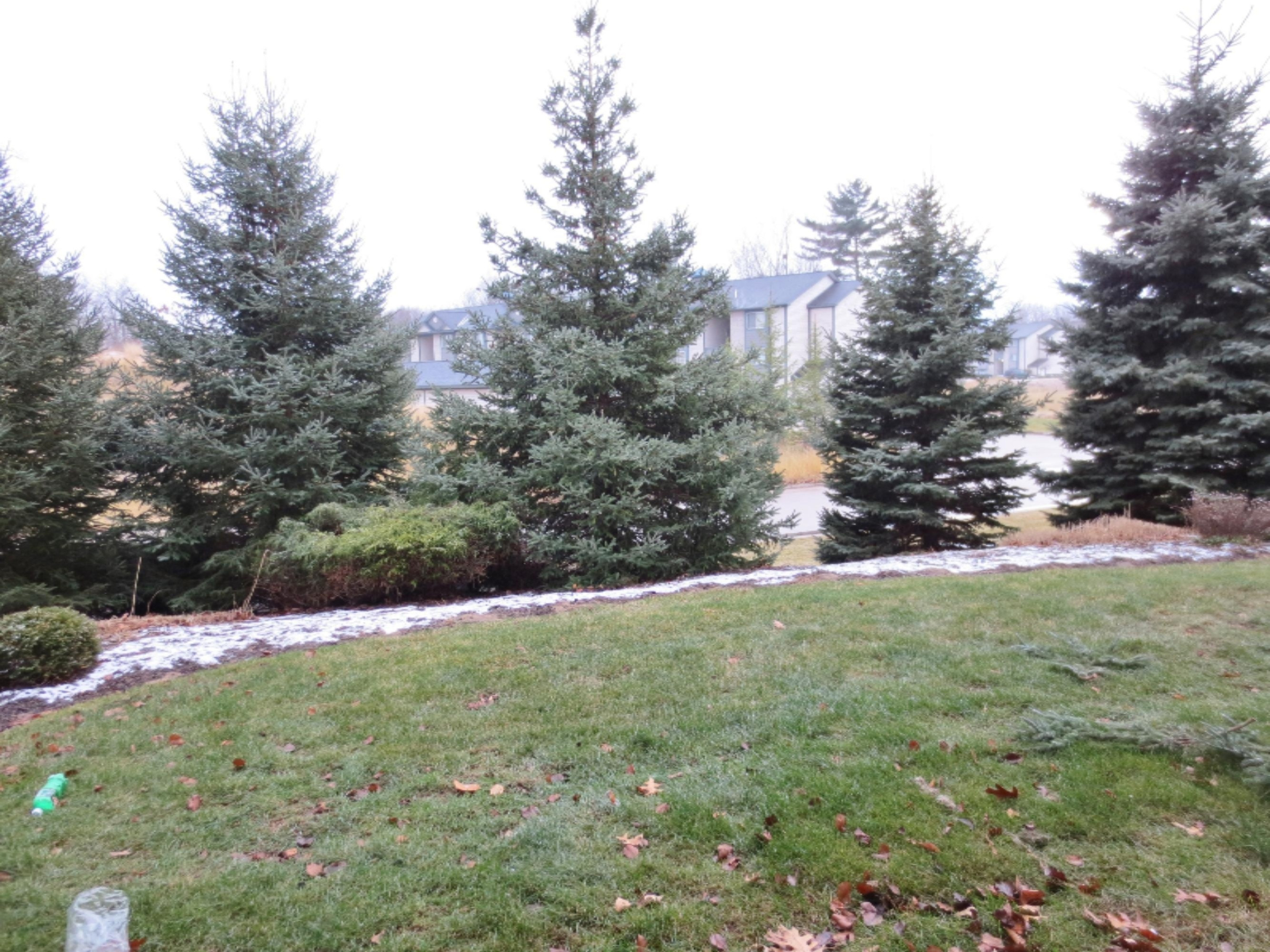 18400 North Ridge Court, Unit 19 Spring Lake, MI 49456 - Photo 16 of 17 View from Patio