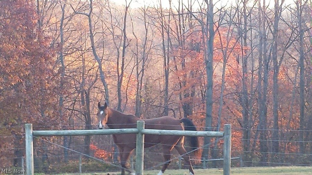 89230 Mill Hill Road Bowerston, OH 44695 - Photo 15 of 16