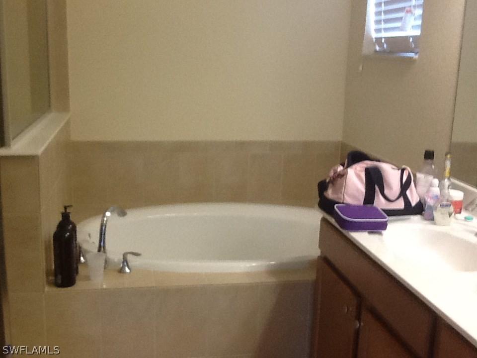 11672 Eros Road Lehigh Acres, FL 33971 - Photo 8 of 18 a bathroom with a tub sink and vanity